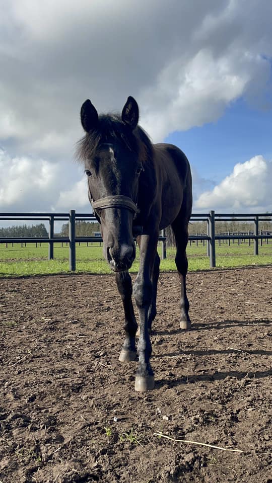 437778223 983215587140558 6350574220675747031 n