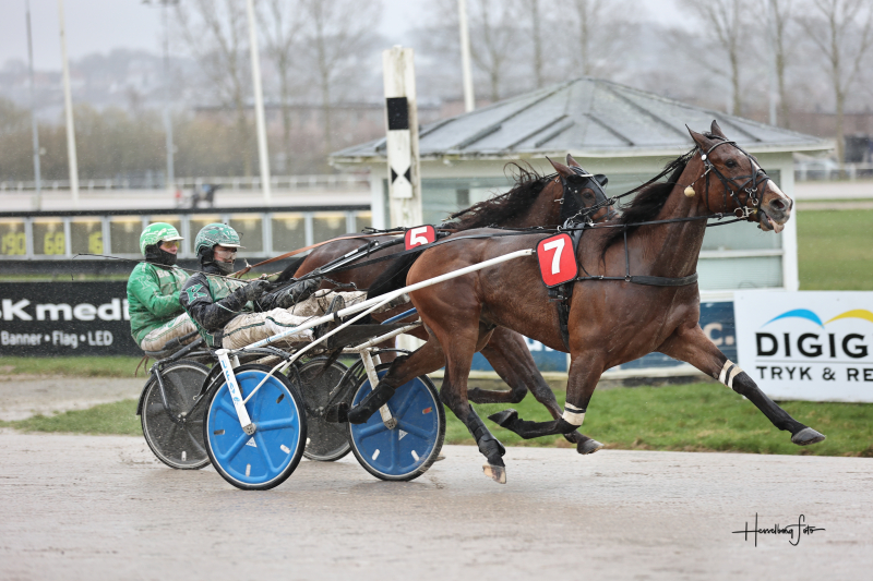 Kort nyt 895A4325