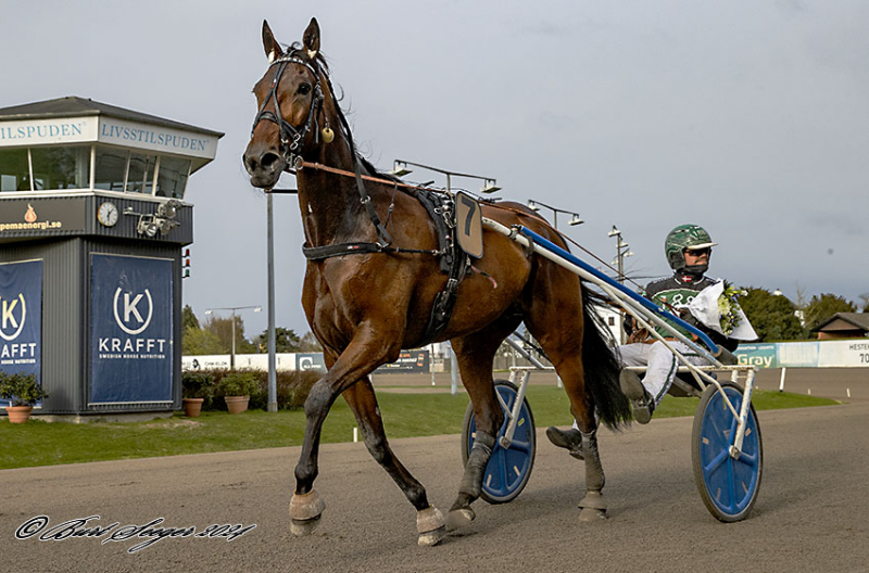 Topdag for fremtidens mand FRITJOF_S_H_D2I2312