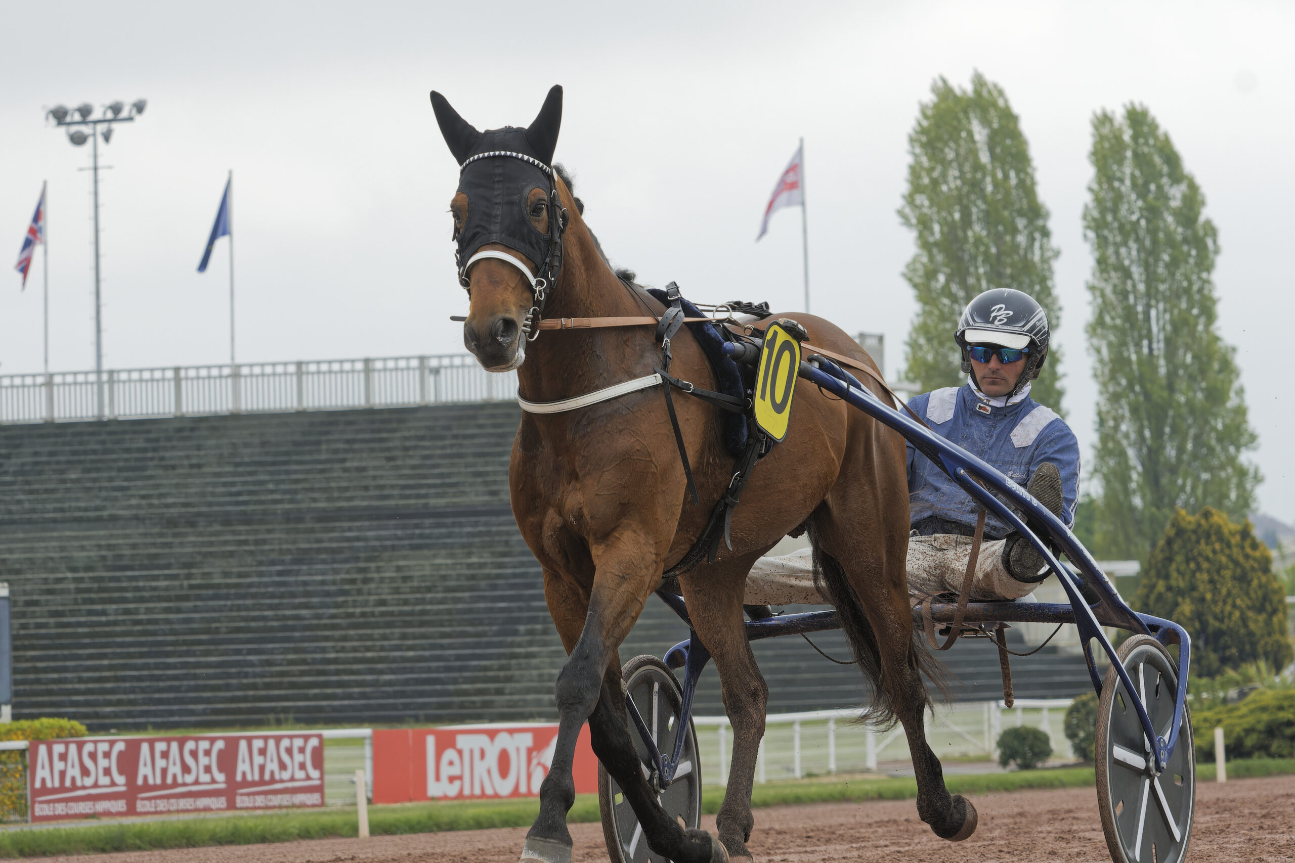 Elitloppet - Horsy Dream _JLL9334_20230422_124452