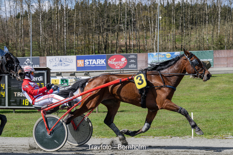 Kingoftheroad med Mads Petersen 21 april 2024 Fotograf Torben Ager Travfoto Bornholm TKA 7506