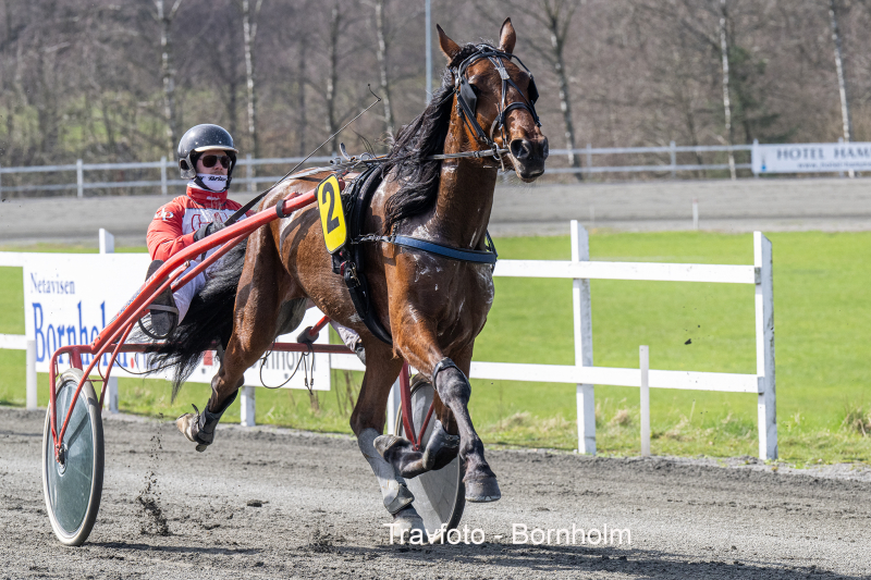 Solgt her - Fuldkommen overlegen Kingoftheroad_med_Mads_Petersen_6_april_2024_Fotograf_Torben_Ager_Travfoto_Bornholm_TKA_6438