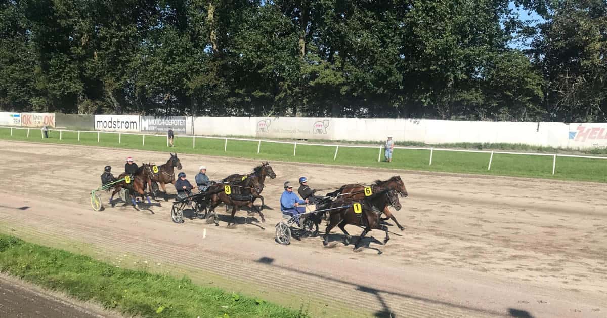 Traeningsdagen september 2023