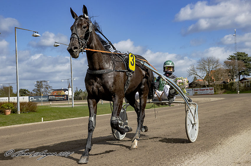 VERTINNEN D2I2125