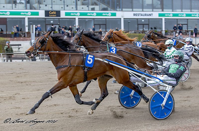 WHOOPS HANOVER MGL8902