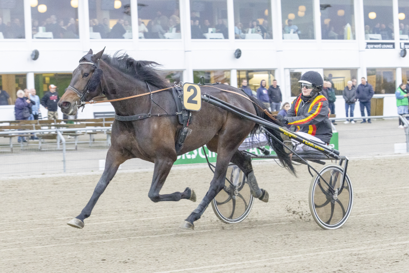 Svendsen mister tre heste isle_2