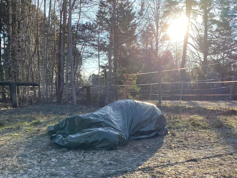 Udland – Corona virus ikke påvist 1f89bbb3c07b0