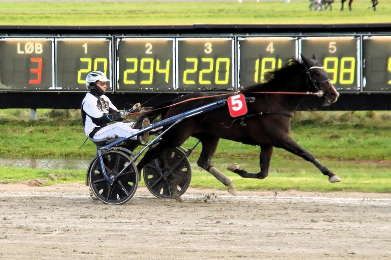 Millionær til Søren Johansson 397958669_1215400036040159_7448445352297319811_n