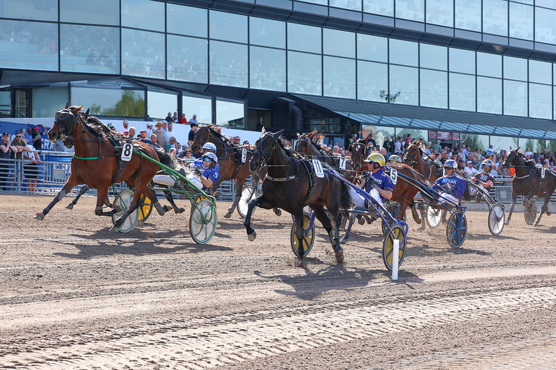 Solvalla - Dansk tredjeplads 53743460693_9325375550_c