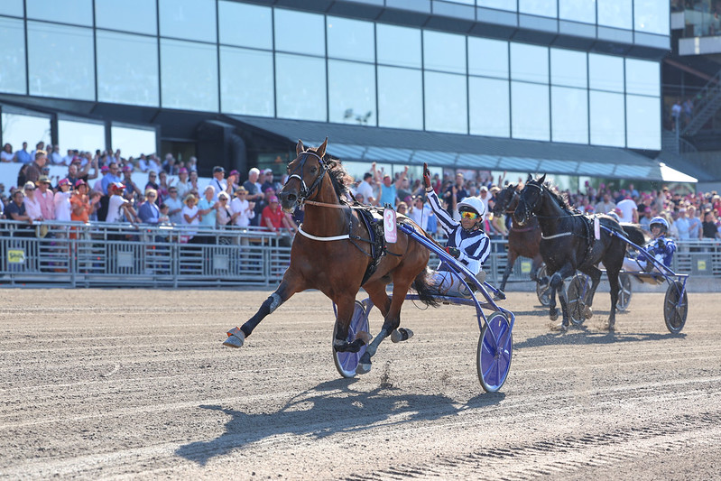 Elitloppet – Horsy Dream overlegen vinder 53747616556_416f888a9e_c