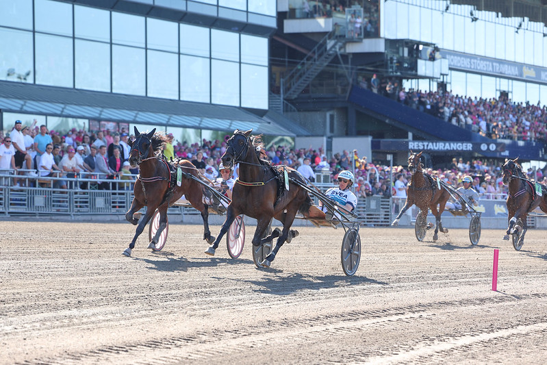 Publikumsnedgang på Solvalla 53747939145_e9303c389d_c