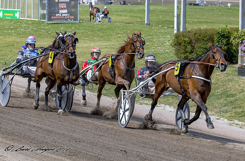 Sådan er det gået på Charlottenlund Travbane CASH_HEAVY_MGL0773