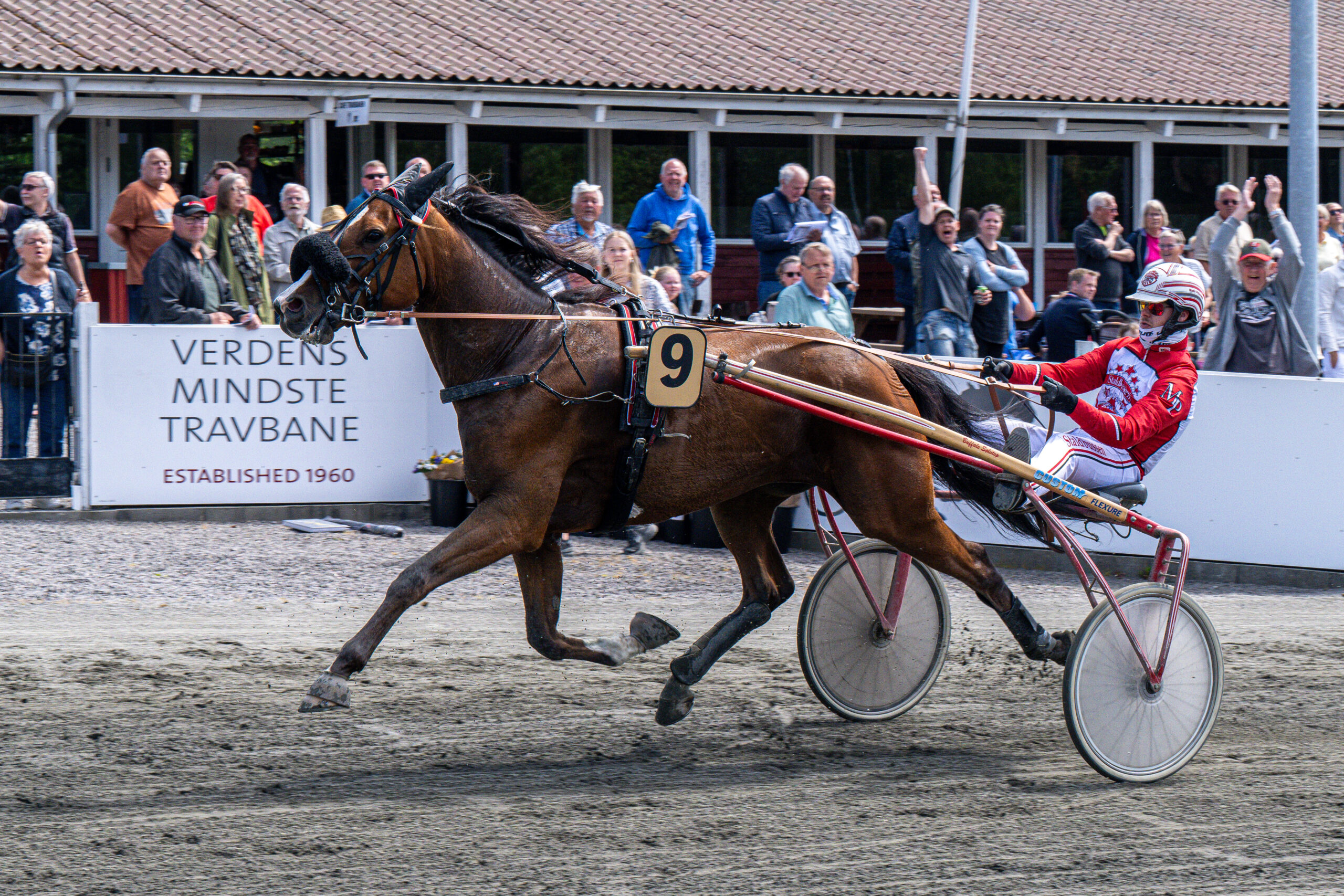 Jack Baldwin med Mads Petersen 20 maj 2024 Fotograf Torben Ager Travfoto Bornholm TKA 0881 scaled