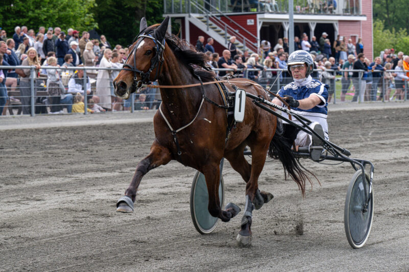 Solvalla - Sådan starter danskerne Ka´li Baunely med Martin Sjøholm Jensen 20 maj 2024 Fotograf T
