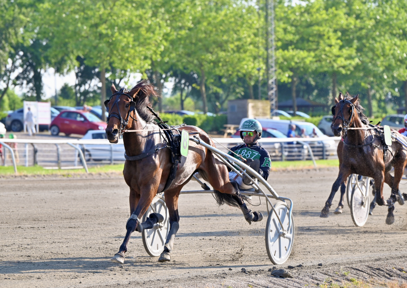 SONGBIRD_DSC_8229