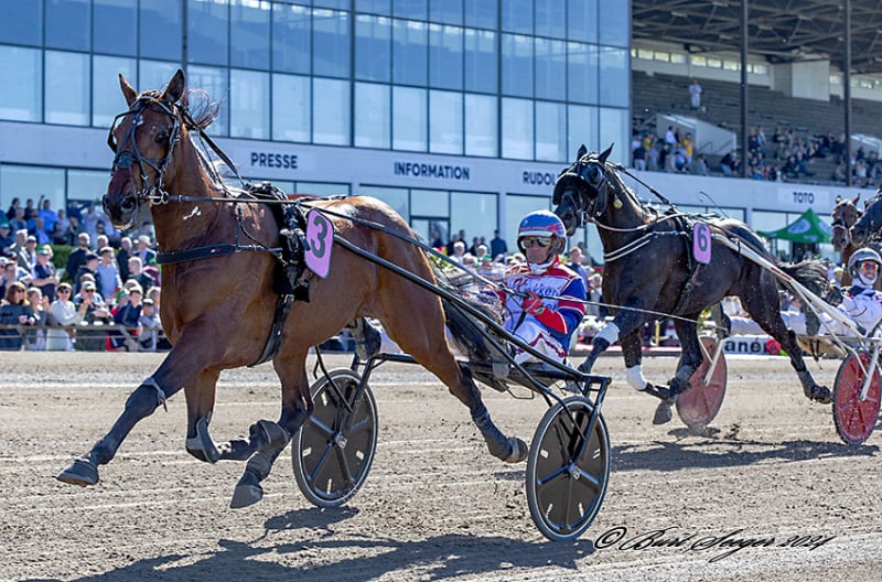 Kim Pedersen til Solvalla ZaireHelida