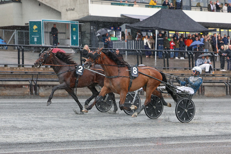 Trænersejr til Kim Pedersen 53779660904_ff4b1a382c_c