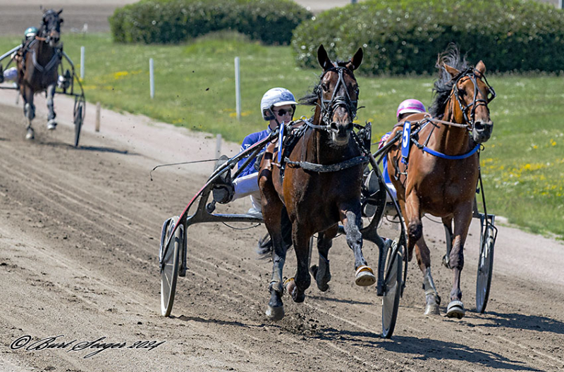 Svend Dyhrberg og Connors Broline på stor opgave CONNORS_BROLINE_MGL1681