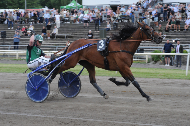 Just A Lady vandt Jydsk 4-årings Hoppe Grand Prix 2024 DSC_5594