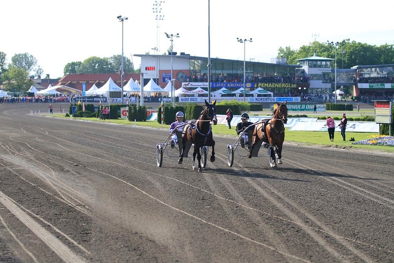 Copenhagen Cup-vinder død GiddePalema1