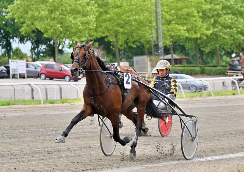 INDY BOY NZ9 2185