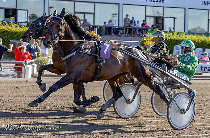 Derby-toeren til Kalmar KING_LEGEND_MGL2913