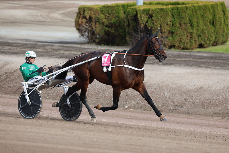 Hail Mary slutter sig til MGM Yonkers International Trot-feltet Hail Mary