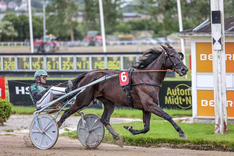 Kort nyt 895A4287_kopier (1)