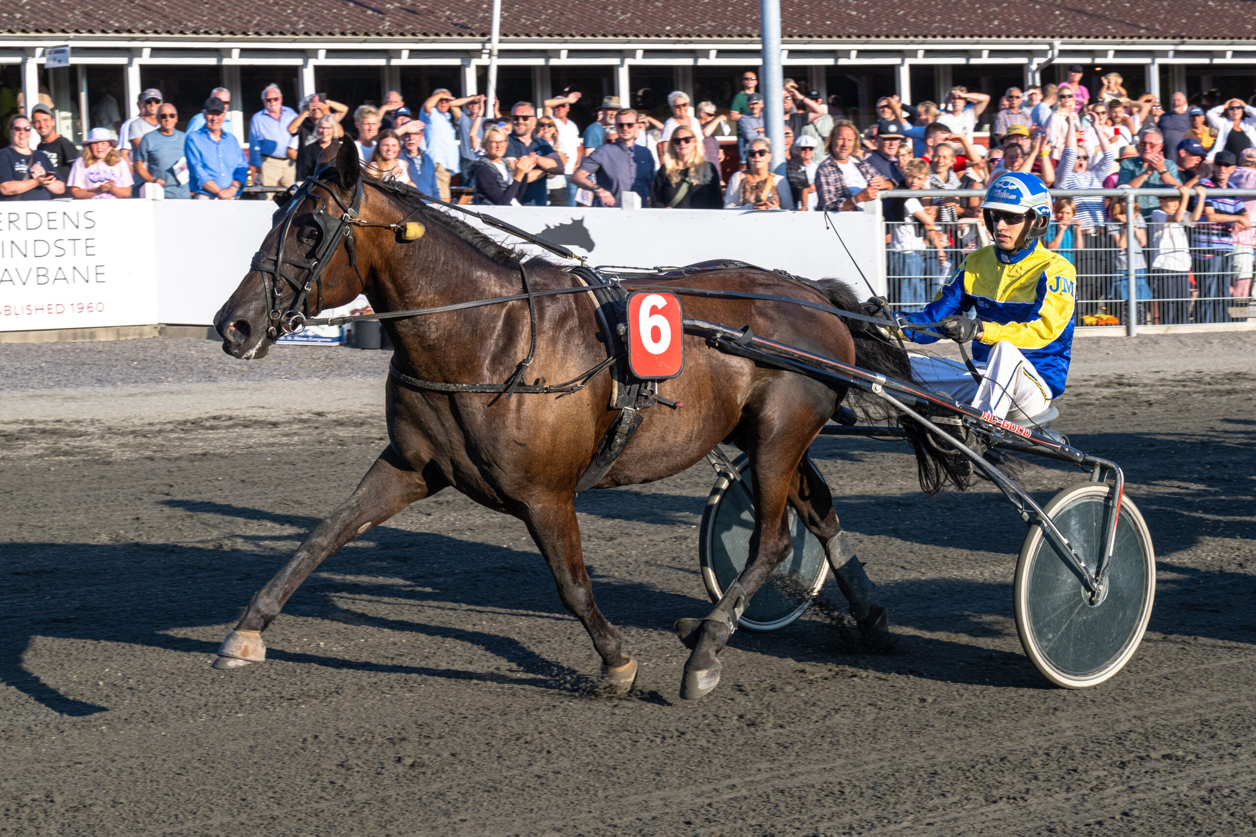 Hi Was The Night med Jonas MIkkelsen 31 juli 2024 Fotograf Torben Ager Travfoto Bornholm TKA 6492 scaled