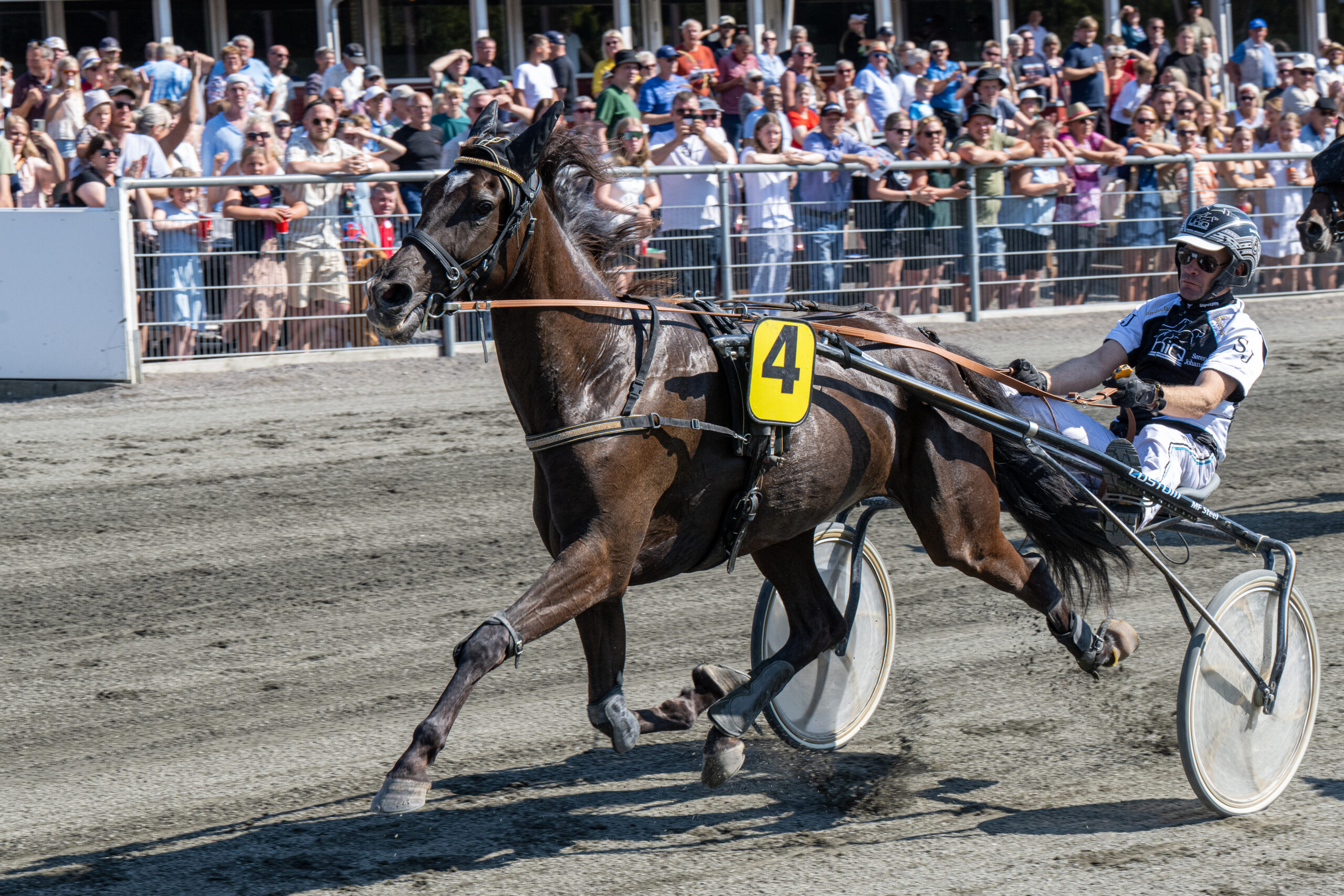 Hotspot Shadow med Soeren Johansson 23 juli 2024 Fotograf Torben Ager Travfoto Bornholm TKA 5722 scaled