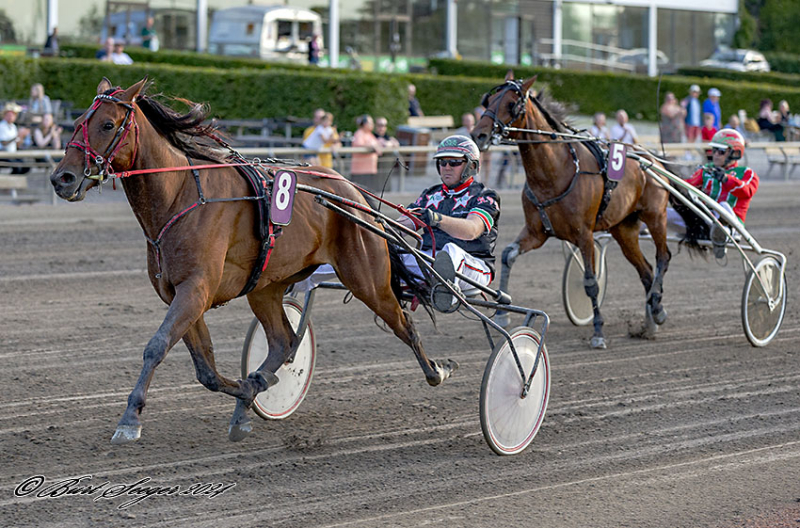 Anders F. Jensen – Den stille styrke i dansk travsport ISAK_LASER_MGL4449