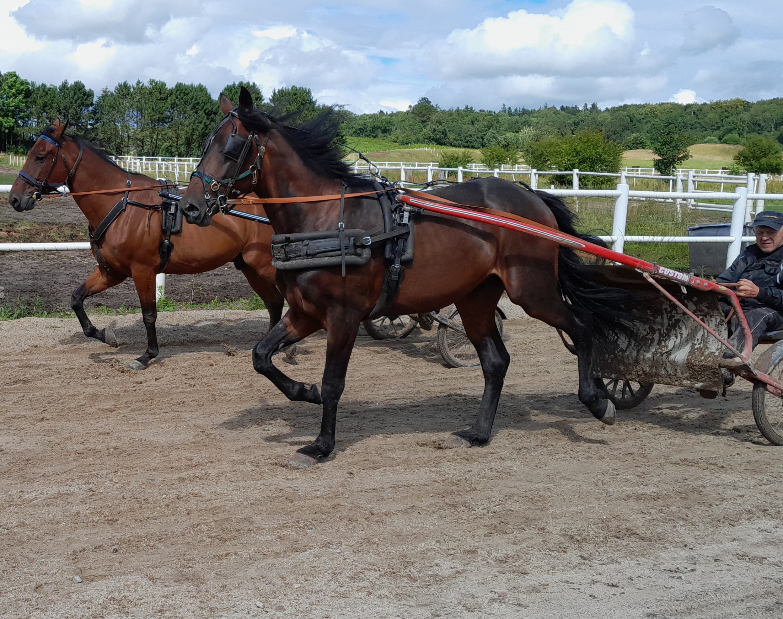 Bornholmsk avis køber Leroy M N Leroy 2