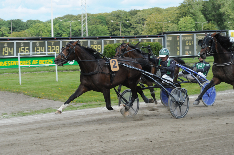DSC 7140