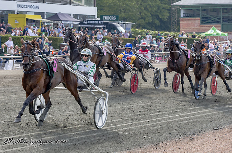 Flemming Jensen kommer med flere fine GLORIUS_RAIN_MGL6401