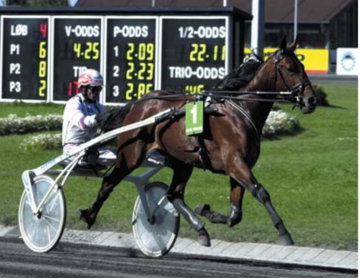 Vi ser tilbage mod 2001 - Derbyvinderen hed Esterel Sunset Hver-er-det-230420