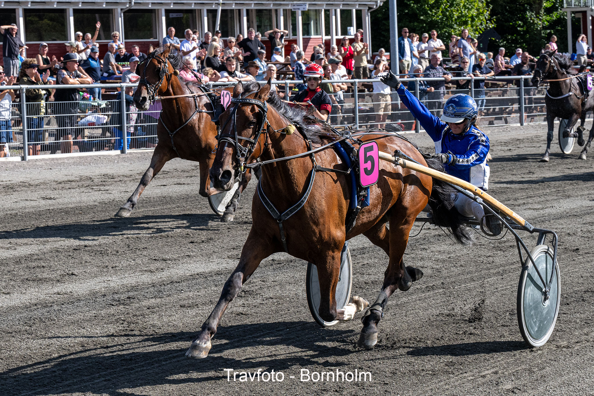 Startlisterne er klar til sæsondebut på Bornholm Winston E M med Michala Haagensen 17 august 2024 Fotograf Torbe