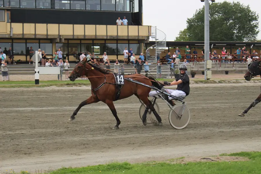 Han er årgang 2008 - Klar til Licensmesterskaberne the-special-man-f-240818