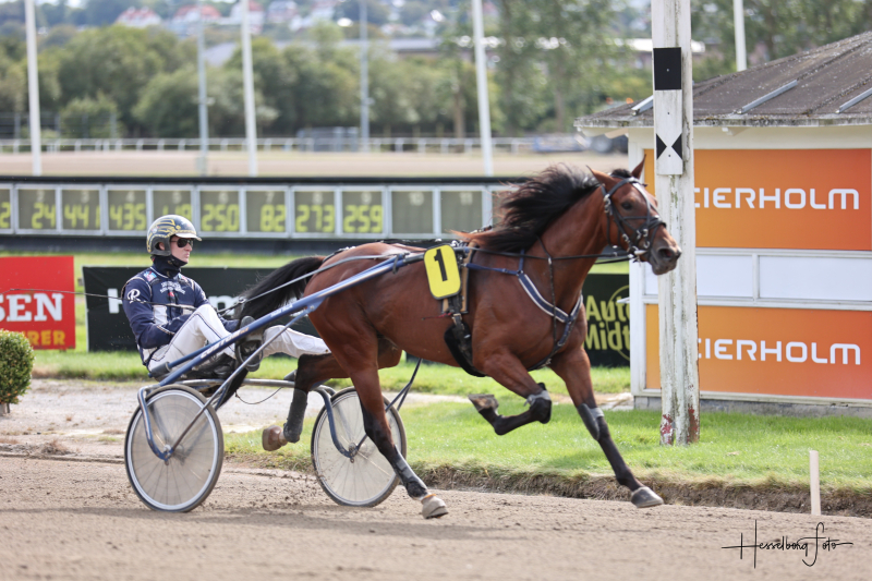 Jeppe indledte med interessant hest Kima Kyvsgård