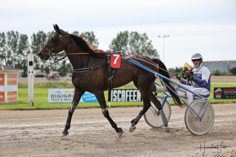 Kaj Westergaard har en fin hest her 895A0804