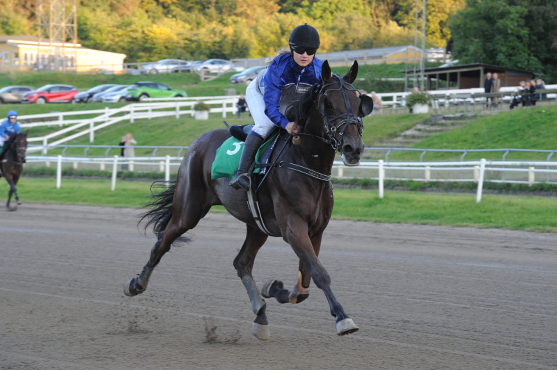 CrazyHorse