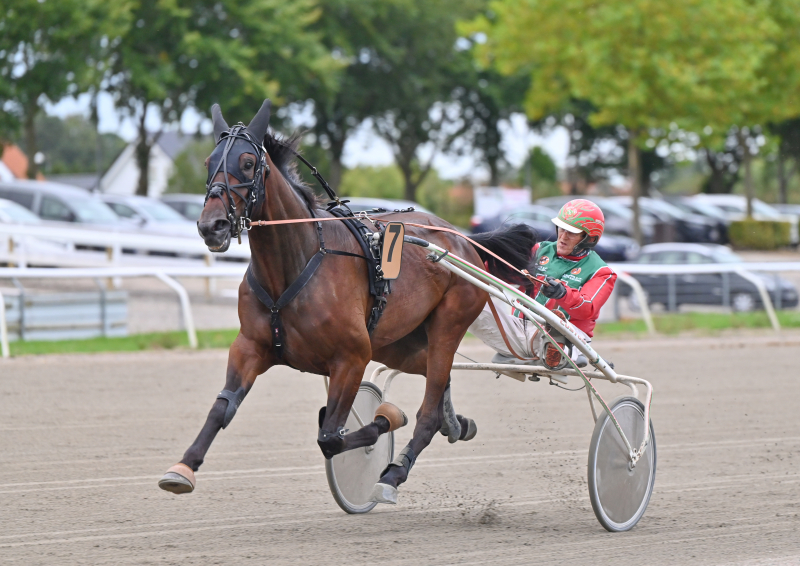 Steen Juuls overlader stjernefrøet til Stefan Persson KATMAI_DSC_8408