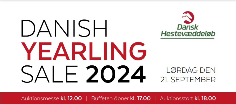Skærmbillede 2024-09-19 130548