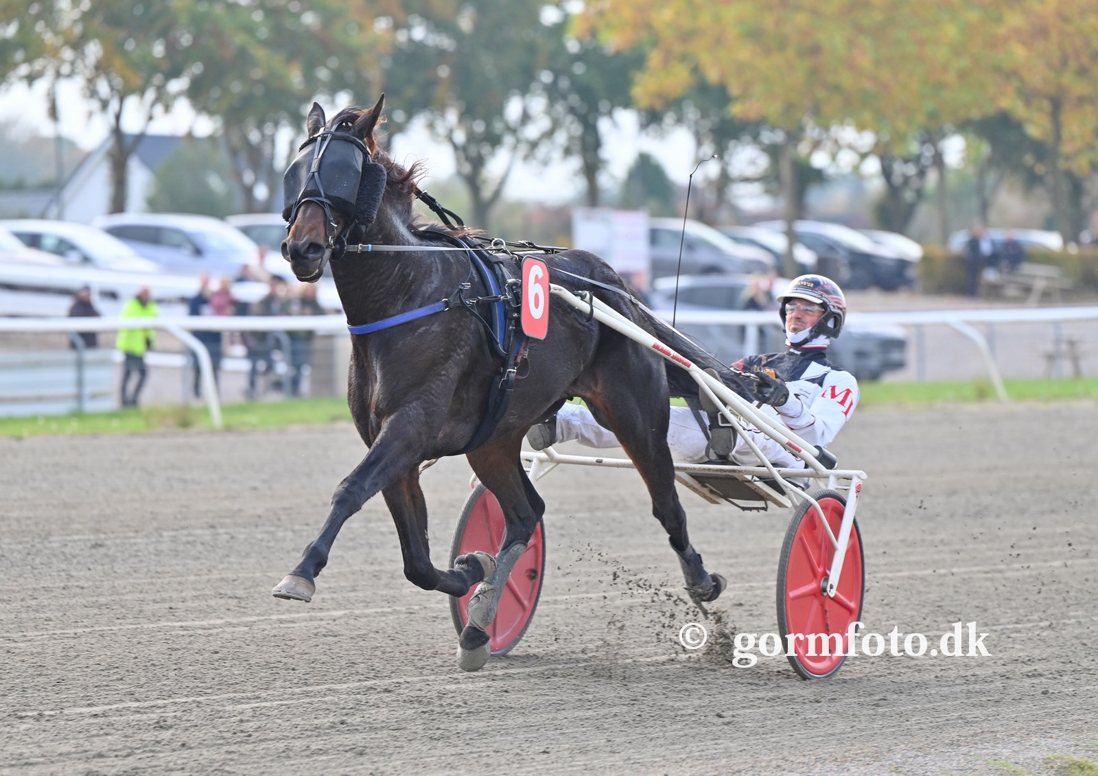 Garrido