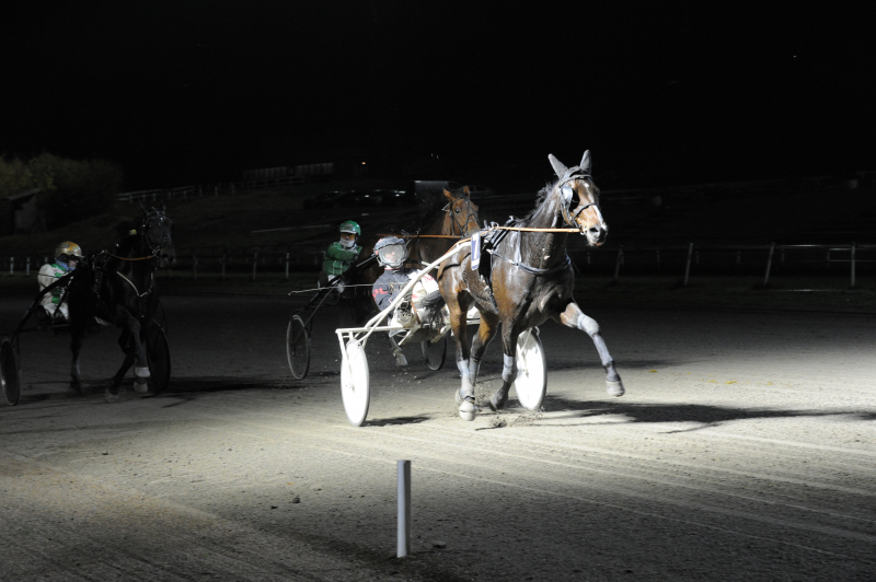 Hun har startet hest 8 gange – 8 sejre er facit. IncitanusSotto_8924