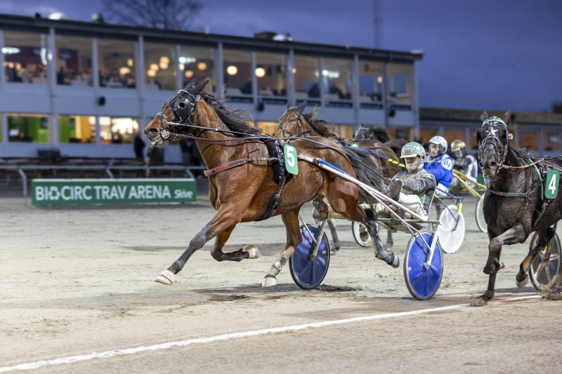 USA - Sejr til Ikon Vang ikon_egedal
