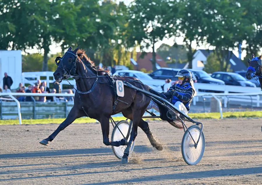 pernille m lassen 2