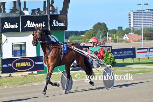 Karola Shadow formidlet 468476419_1099342248866854_1679153882525495449_n