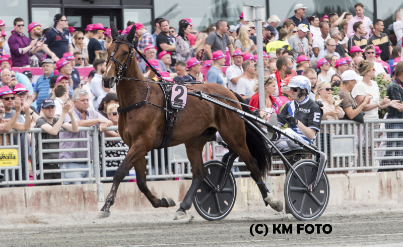 Christoffer har modtaget flere heste fra Danmark. GP4A0729_Twister_Bi_Christoffer_Eriksson_