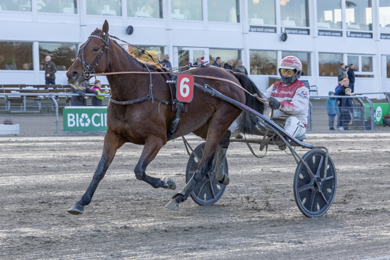 komsa langborg