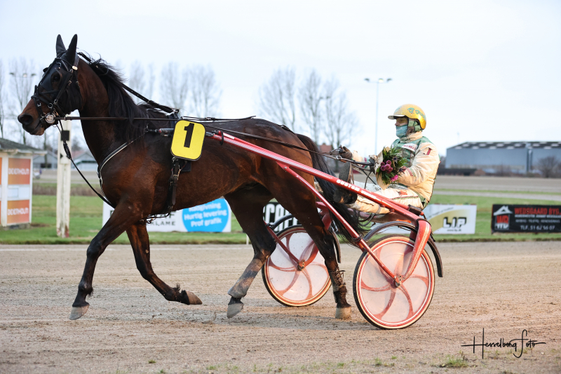 Aalborg - Sådan er det gået i dag Just A Star